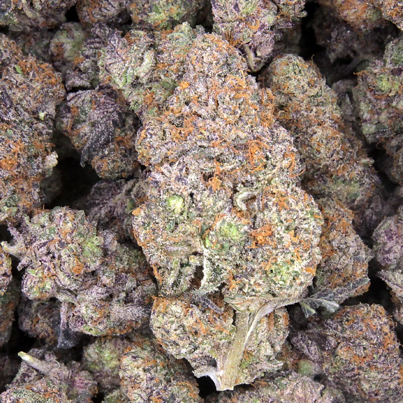 Da Plug Shelf Oz