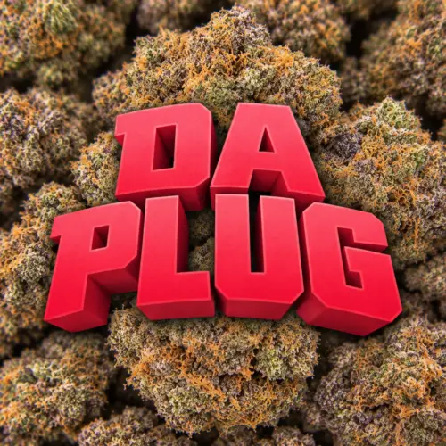 Da Plug