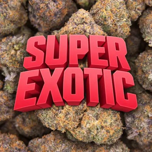 Super Exotic